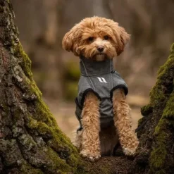 Back on Track BARK Softshell hundedækken | Fuld Refleks
