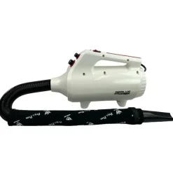 Blower Aeolus Nebula