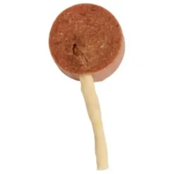 Companion Lollipop And | 60 stk. STORKØB