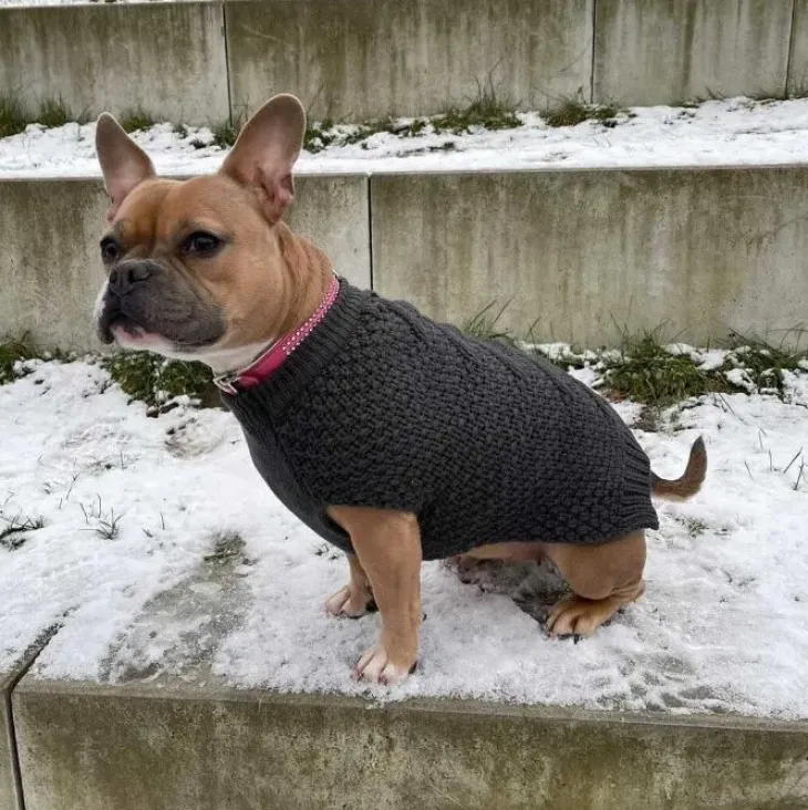 Hunter Hundesweater Malmø 50 cm ryglængde | OUTLET