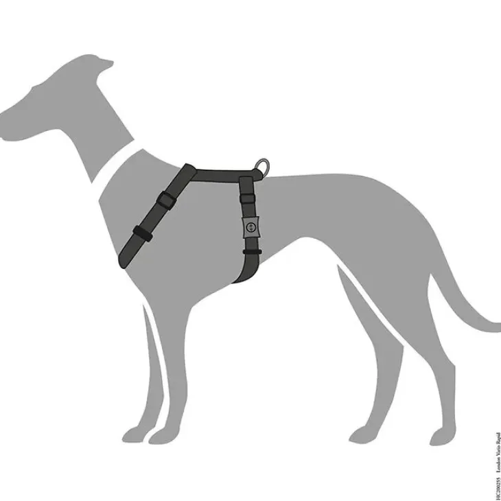 Hunter London Vario Rapid Hundesele