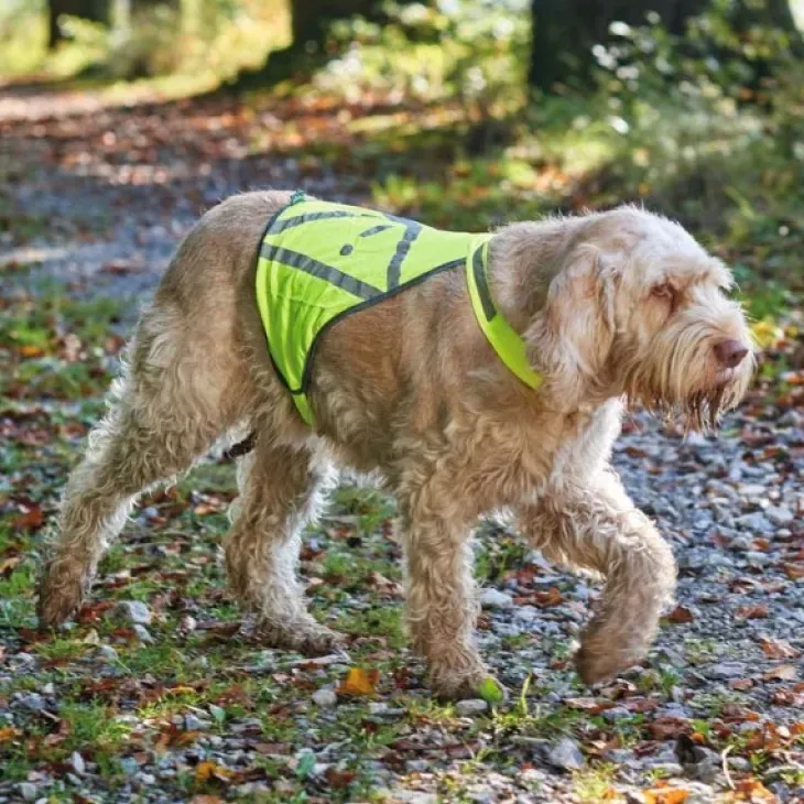 Hunter Refleksvest til hund