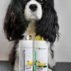 ISB Banana Conditioner