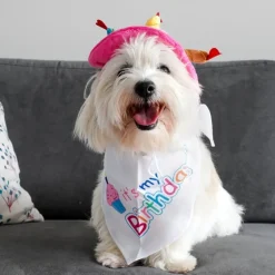 It's my Birthday Bandana | Hvid