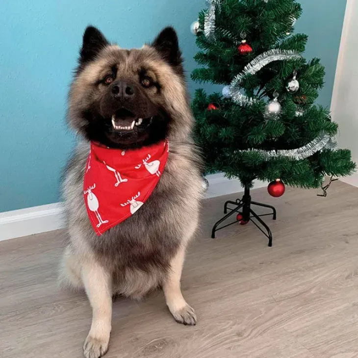 Julebandana med rensdyr