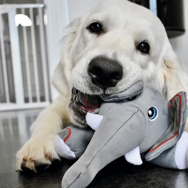 KONG Cozie Ultra Ella Elephant