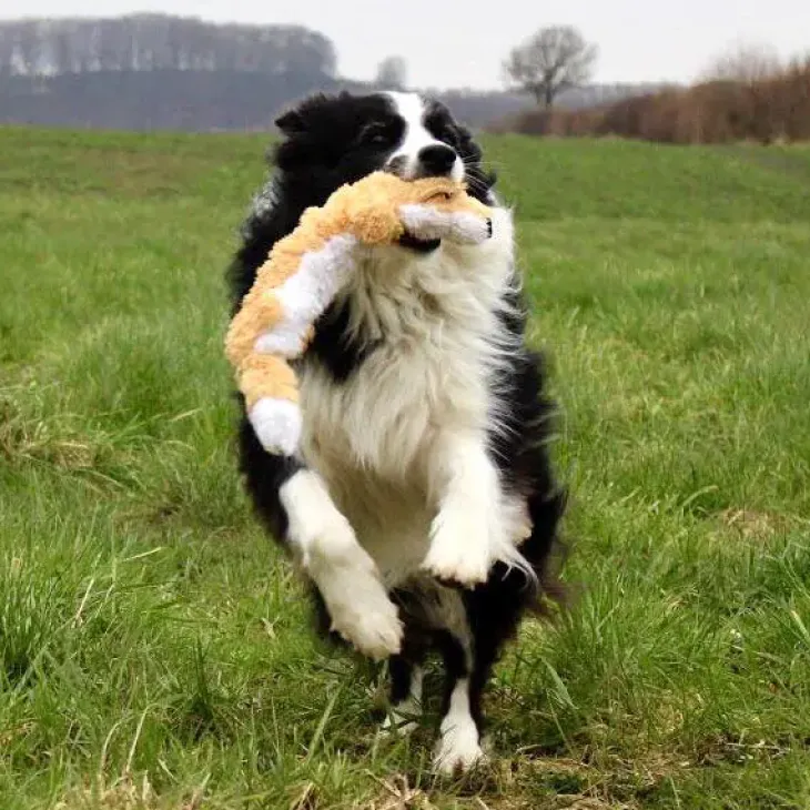 KONG Scrunch Knots dyr