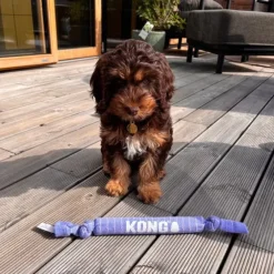 KONG Signature Crunch Rope Puppy