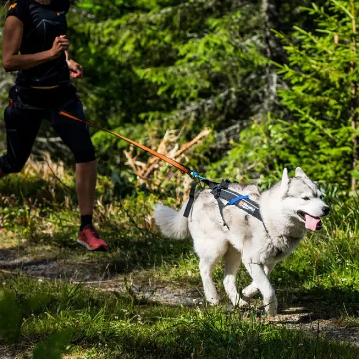 Non-Stop Dogwear Freemotion Harness | OUTLET