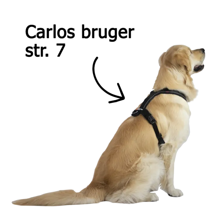 Non-Stop Dogwear Line Harness 5.0 | OUTLET