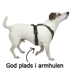 Non-Stop Dogwear Line Harness 5.0 | OUTLET