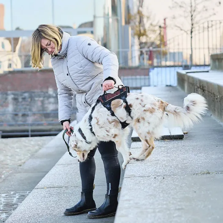 Non-Stop Dogwear Rock Harness Long | OUTLET
