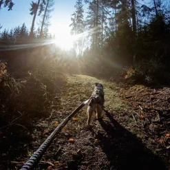 Non-Stop dogwear Touring Bungee Leash | OUTLET
