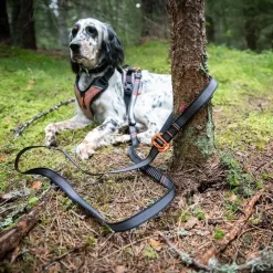 Non-stop dogwear Touring Bungee Adjustable | OUTLET