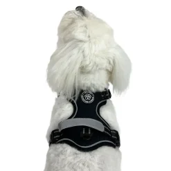 Ollipet Adventure Hundesele Sort str. XL, OUTLET