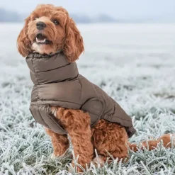 Ollipet Alpine Explorer Hundejakke