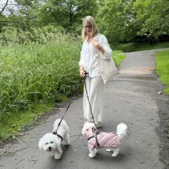 Ollipet Aqua Explorer De Luxe | Shopping Net