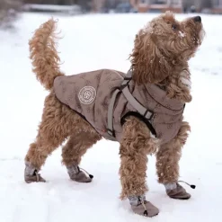 Ollipet Arctic Explorer | Hundedækken