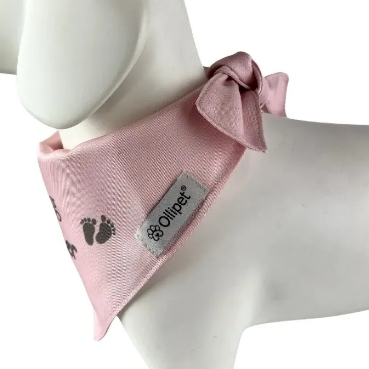 Ollipet "Big brother/sister" Bandana