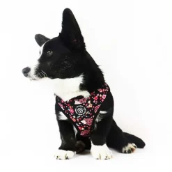 Ollipet City Lux Hundesele | Cute Hedgehog | OUTLET