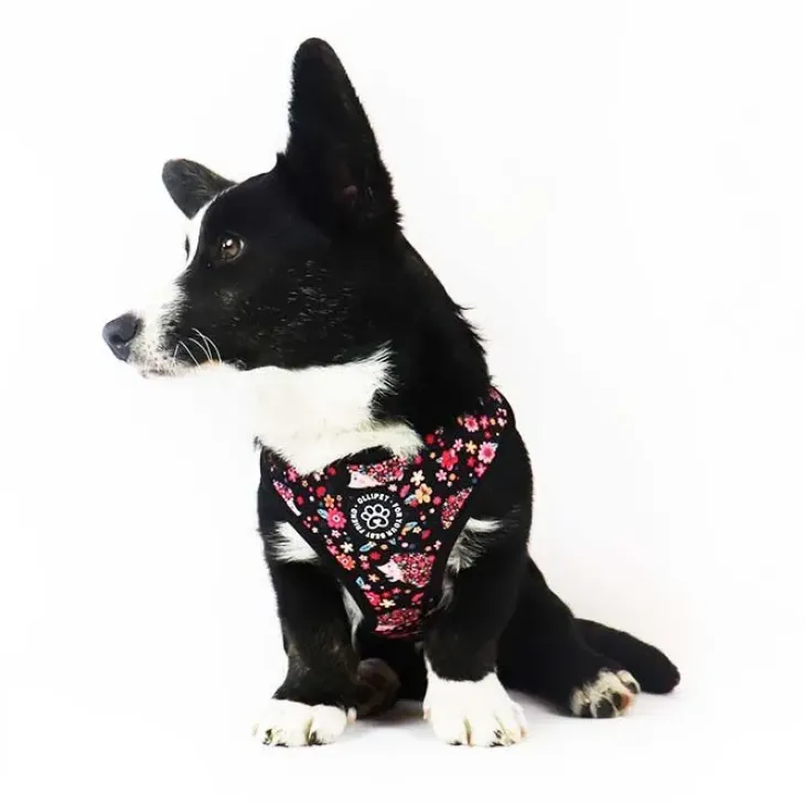 Ollipet City Lux Hundesele | Cute Hedgehog | OUTLET
