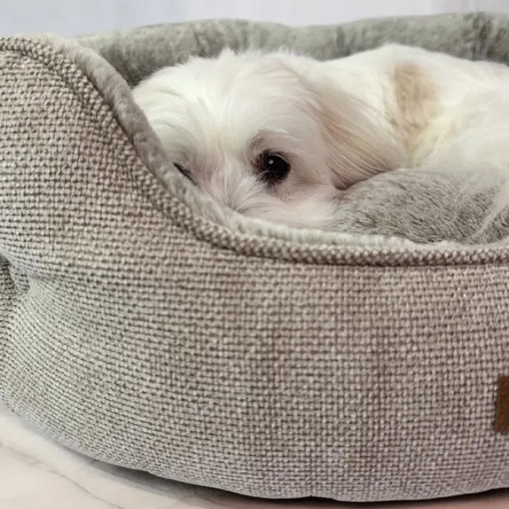 Ollipet Cocoon hundeseng