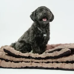 Ollipet Cozy dream madras