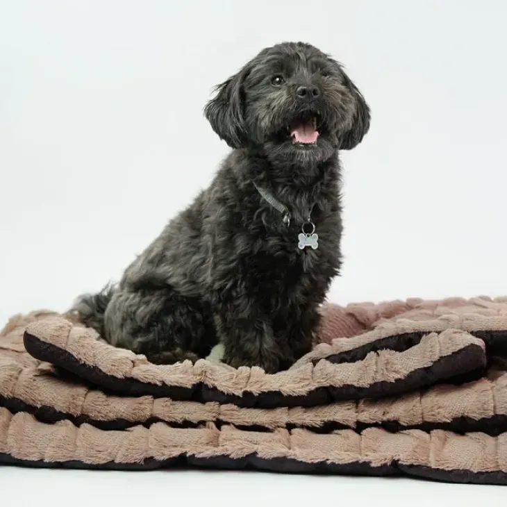 Ollipet Cozy dream madras