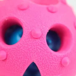 Ollipet Double Joy ball