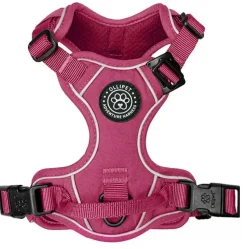 Ollipet For Wagging Tails | Adventure Hundesele 2.0