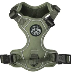 Ollipet For Wagging Tails | Adventure Hundesele 2.0