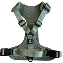 Ollipet For Wagging Tails | Airflex hundesele