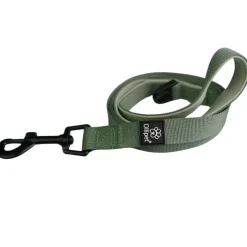 Ollipet For Wagging Tails | Hundesnor