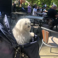 Ollipet Hundeklapvogn Venezia