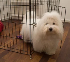 Ollipet Hvalpegård Slimline