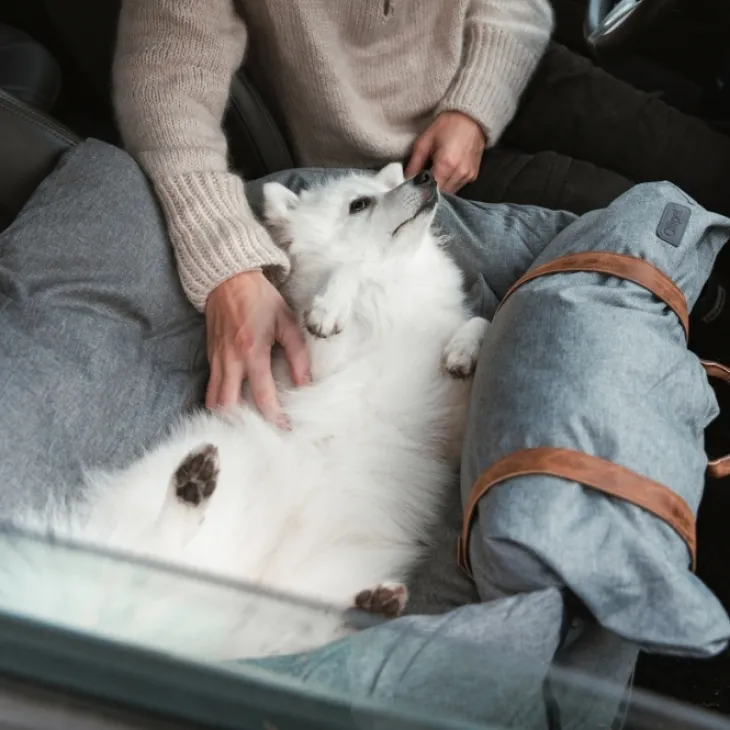 Ollipet Karma Deluxe Autokurv 2i1