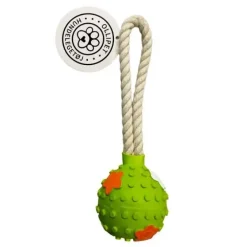 Ollipet Kastebold m. Reb