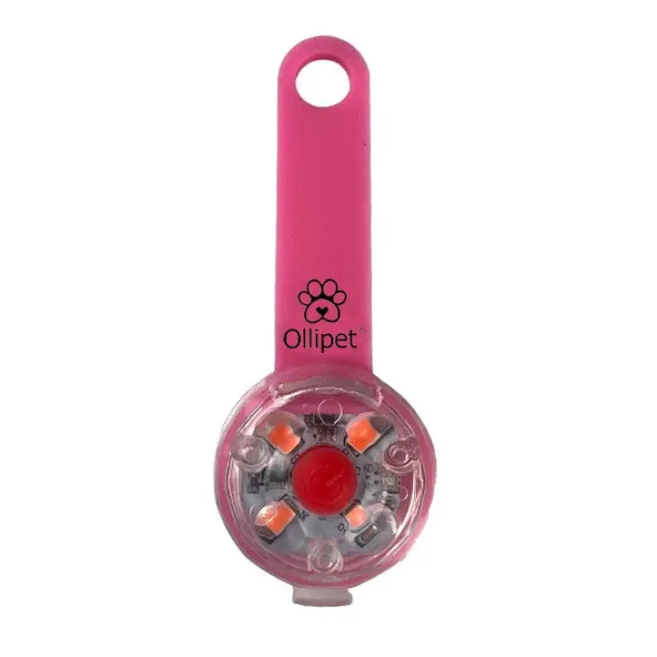 Ollipet LED Light in the dark | Genopladelig