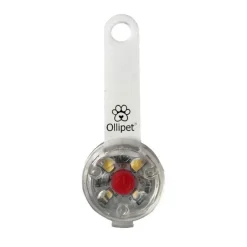 Ollipet LED Light in the dark | Genopladelig