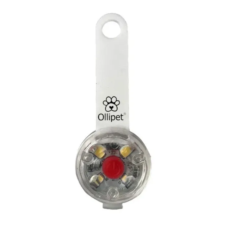 Ollipet LED Light in the dark | Genopladelig