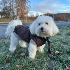Ollipet Mokkashield | Termojakke