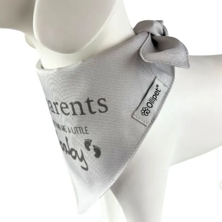 Ollipet "My parents are getting me a little baby" bandana
