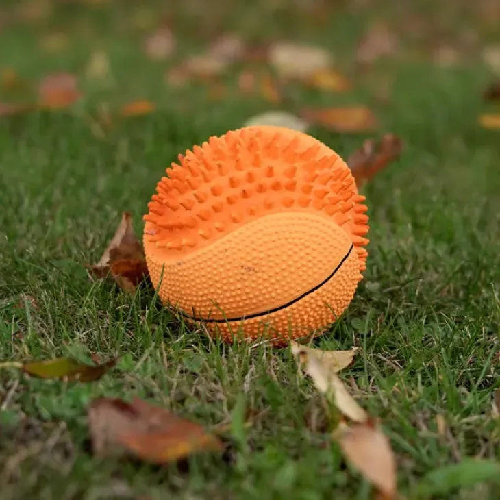 Ollipet Natur Latex Basketbold