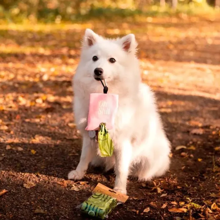 Ollipet Oh Shit pølleposeholder