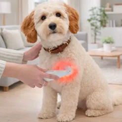 Ollipet Petcare Infrarød Terapilampe | til kæledyr