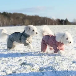Ollipet Polar Flyverdragt