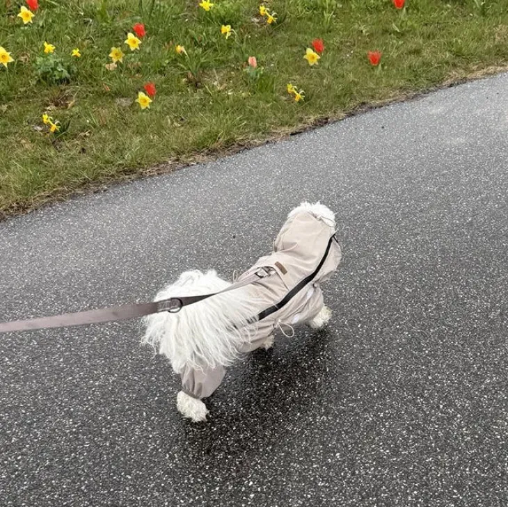 Ollipet Poncho Regndragt | Khaki