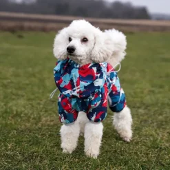 Ollipet Ponjo Regndragt | OUTLET