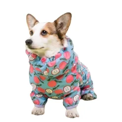 Ollipet Ponjo Regndragt | OUTLET