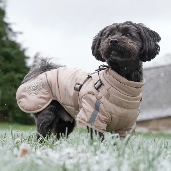 Ollipet Sirius DeLuxe Dynejakke Sand | OUTLET